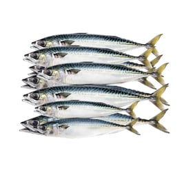 Pescado entero Jurel, 5 lb